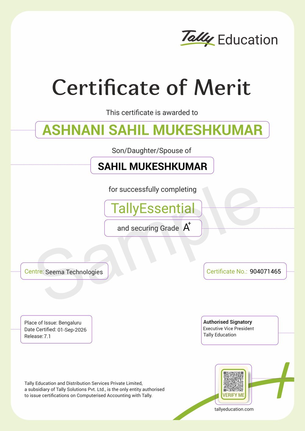 Sample Certificate of Merit issued by Tally Education